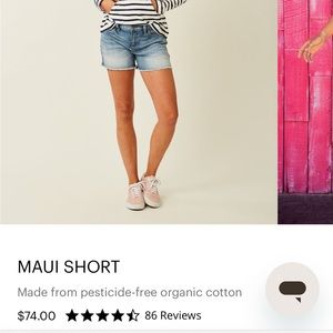 Carve Designs Maui Jean Shorts